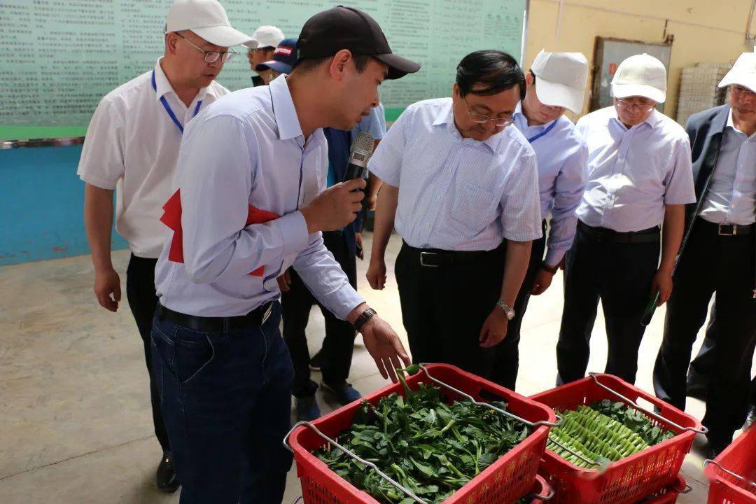 国家大宗蔬菜产业体系拉萨试验站成功举办西藏蔬菜现场观摩会