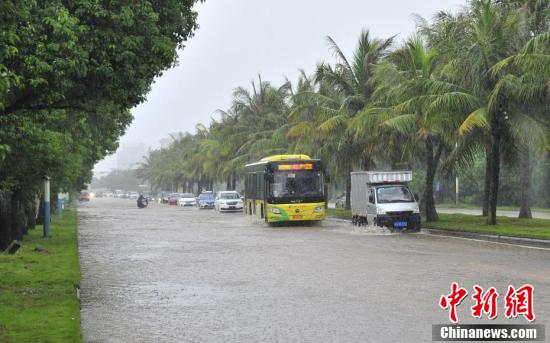 台风“贝碧嘉”致河南商丘69个乡镇受灾