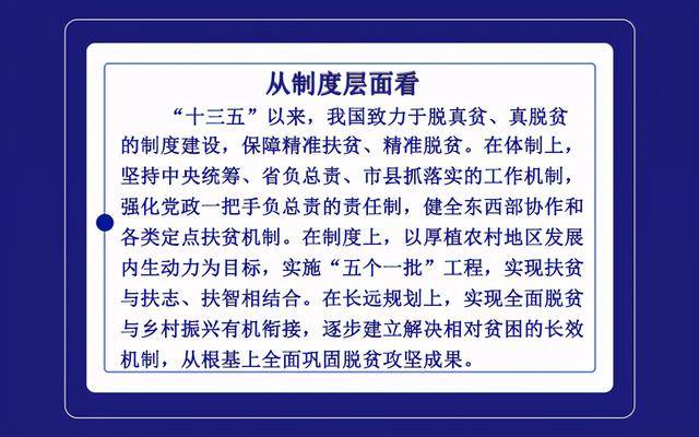 新澳门免费资料大全历史记录开马,确保成语解释落实的问题_专业版150.205