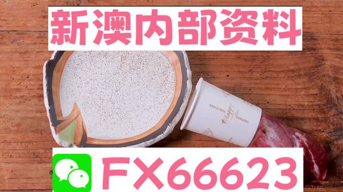 新澳精准资料免费提供濠江论坛,动态词语解释落实_经典版172.312