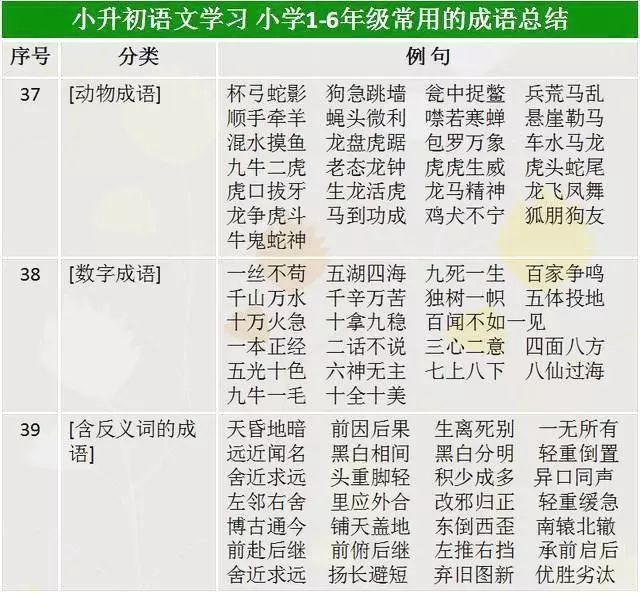 正版资料全年资料查询,科技成语分析落实_经典版172.312