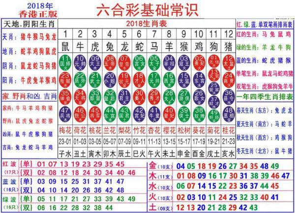 澳门正版资料大全资料生肖卡,最新正品解答落实_豪华版180.300