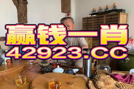 管家婆一码一肖资料大全,绝对经典解释落实_限量版7.316