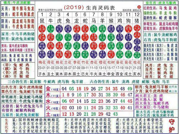 2024最新奥马免费资料生肖卡,机构预测解释落实方法_专家版8.151