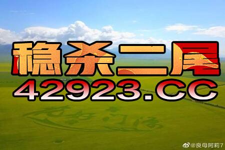 2024澳门特马今晚开奖,诠释解析落实_优选版2.913