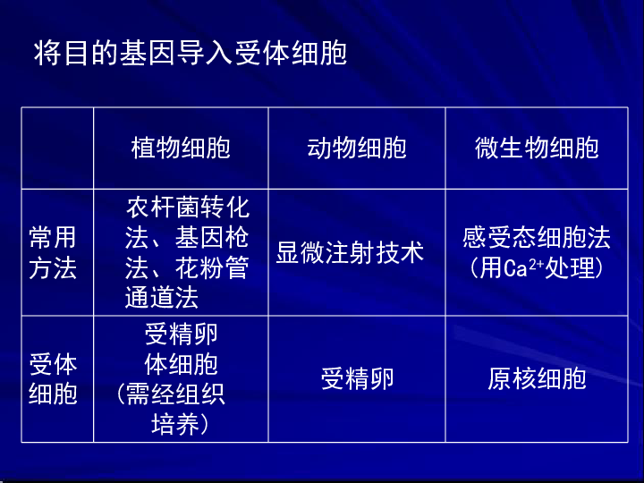 王文桂 第2页