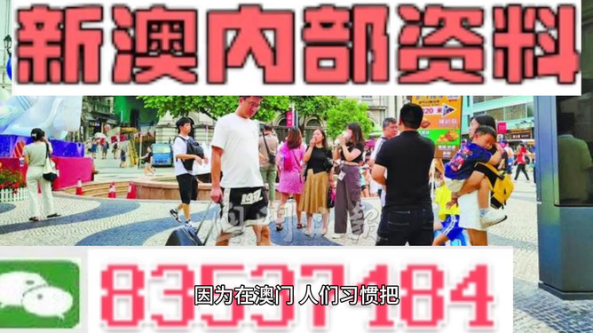 2024新澳精准资料免费,时代资料解释落实_理财版8.204