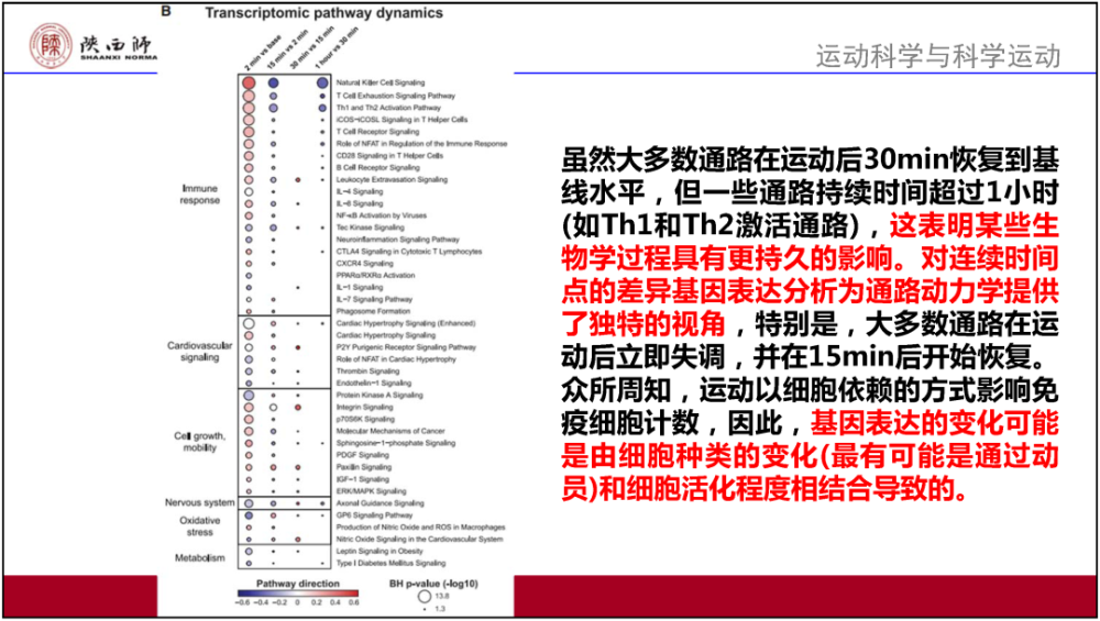 2024澳门精准正版资料大全,广泛的解释落实方法分析_标准版7.441