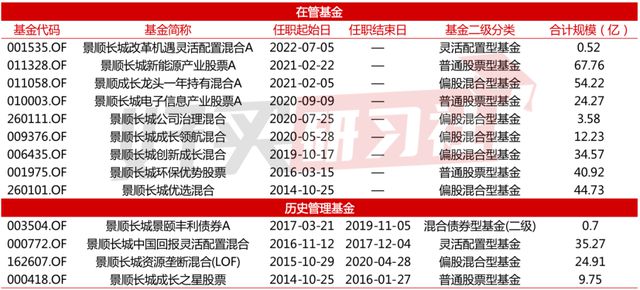 2024新奥资料免费精准,机构预测解释落实方法_优选版4.981