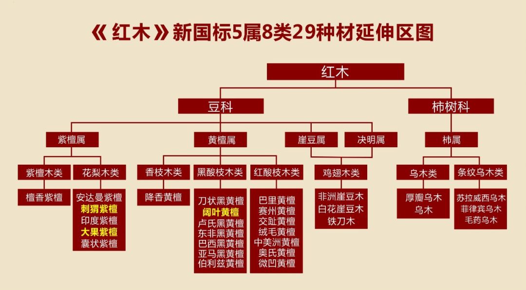 新澳门三期必开一期,机构预测解释落实方法_完整版7.907