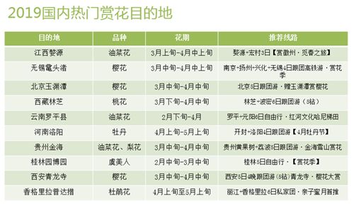 2024年新奥门免费资料,最新热门解答落实_储蓄版4.18