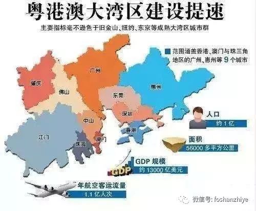 澳门一码一码100准确，效率资料解释落实_战略版4.97.44