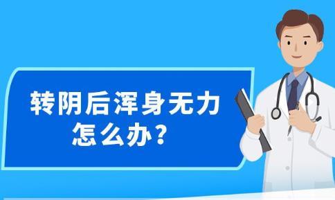 香港新澳精准资料免费提供，最新核心解答落实_ios7.94.51