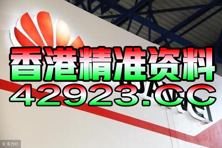 2024澳门天天彩期期精准，准确资料解释落实_VIP49.88.25